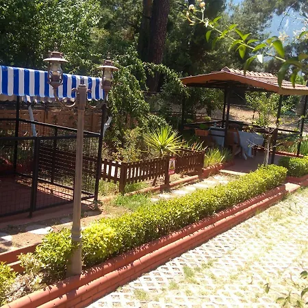 Boncuklu *