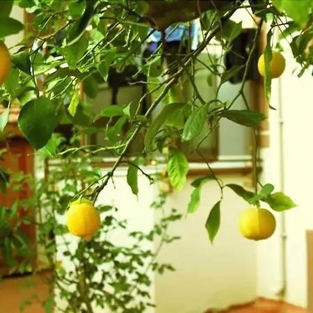 Boncuklu * Ölüdeniz